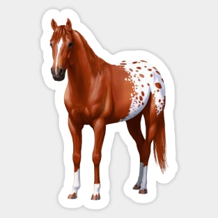 Chestnut Sorrel Quarter Horse Appaloosa Stallion Sticker